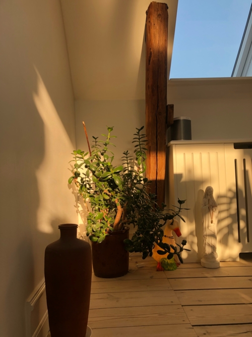 Stue